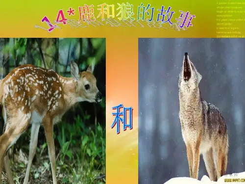 语文六年级上人教新课标《鹿和狼的故事》课件(77)(33张)