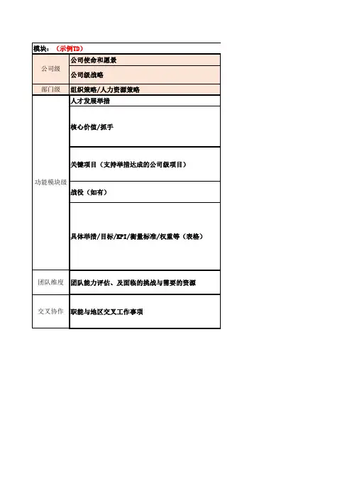 战略举措落地进展跟进工具表单(模板二)