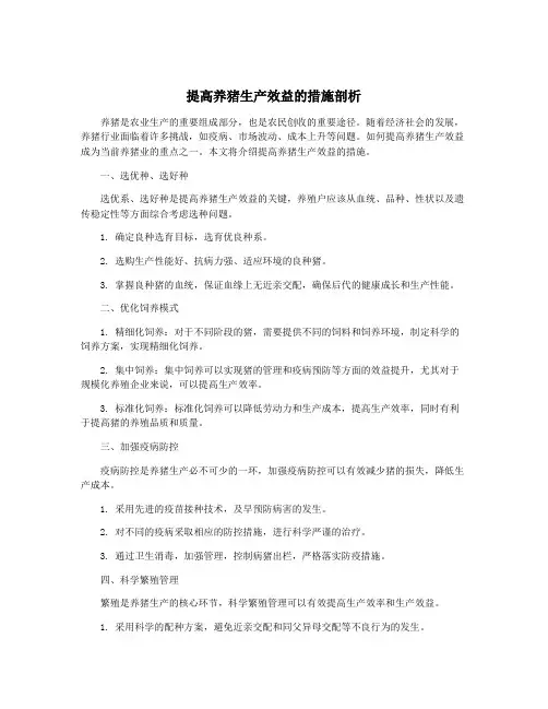 提高养猪生产效益的措施剖析