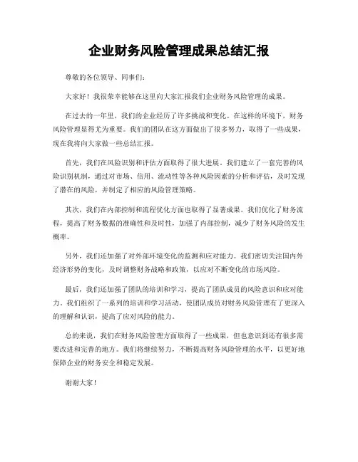 企业财务风险管理成果总结汇报