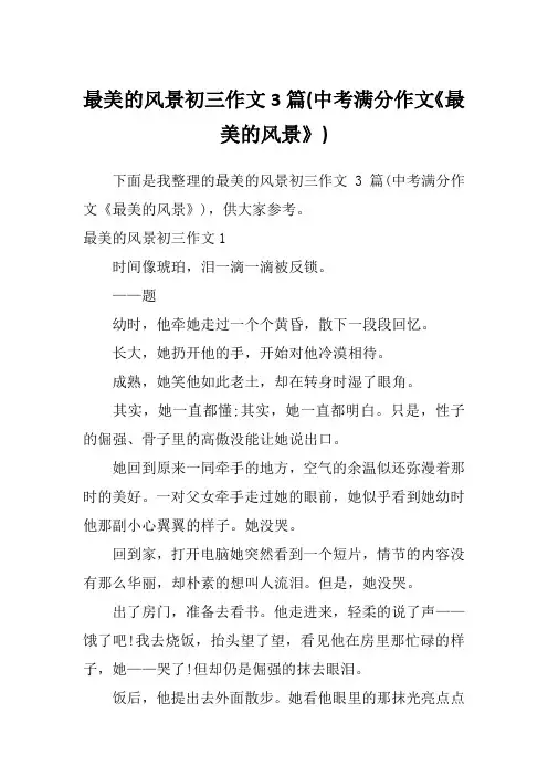 最美的风景初三作文3篇(中考满分作文《最美的风景》)