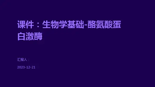 课件：生物学基础-酪氨酸蛋白激酶