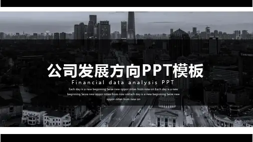 公司发展方向报告工作总结汇报计划课件