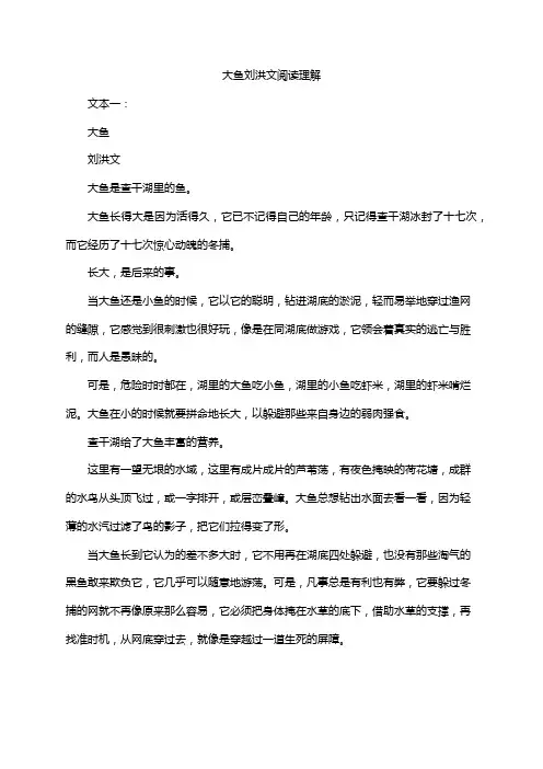 大鱼刘洪文阅读理解