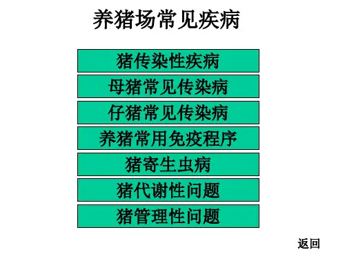 养猪场常见疾病