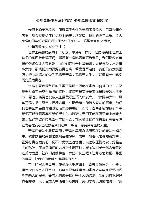 少年风采中考满分作文_少年风采作文600字