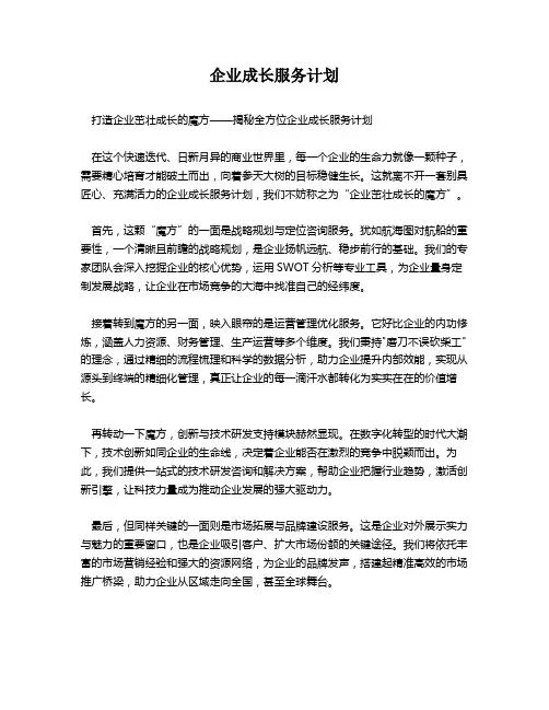 企业成长服务计划