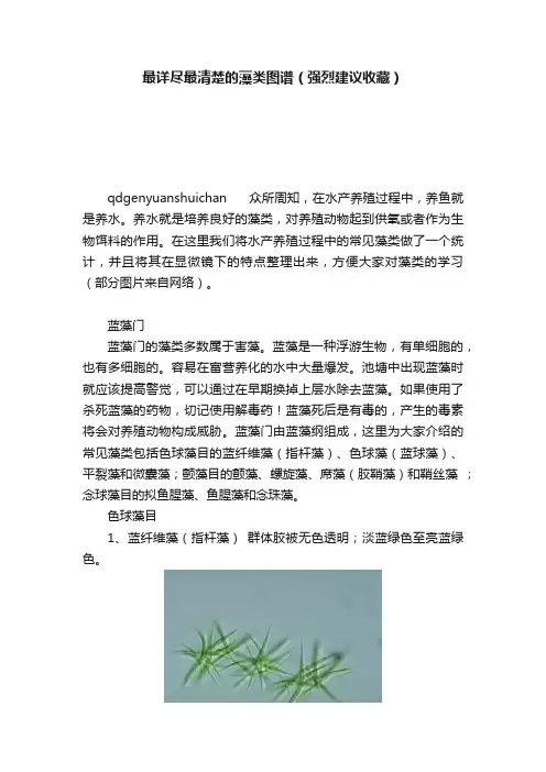 最详尽最清楚的藻类图谱（强烈建议收藏）