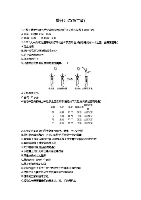 人教版七年级生物上册第二章被子植物的一生提升训练(含答案)