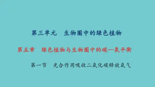 新人教版七年级生物上册第五章绿色植物与生物圈中的碳—氧平衡 第一节 光合作用吸收二氧化碳释放氧气课件