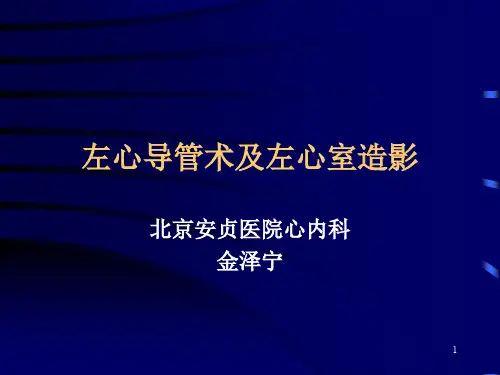 心室造影PPT参考幻灯片