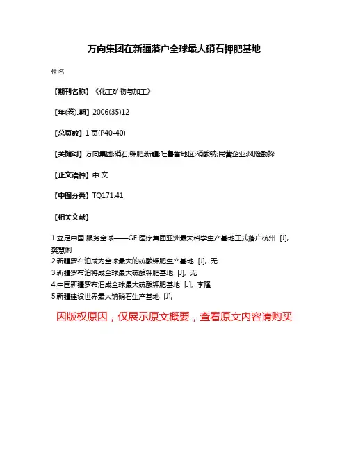 万向集团在新疆落户全球最大硝石钾肥基地