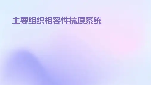 主要组织相容性抗原系统