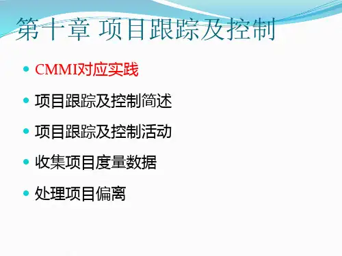 项目数据管理计划和跟踪表项目跟踪及控制
