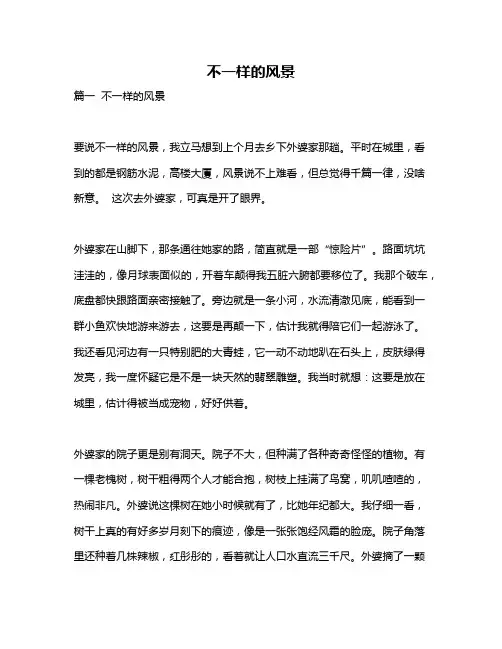 作文《不一样的风景》