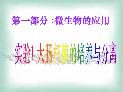 实验1-大肠杆菌的培养与分离