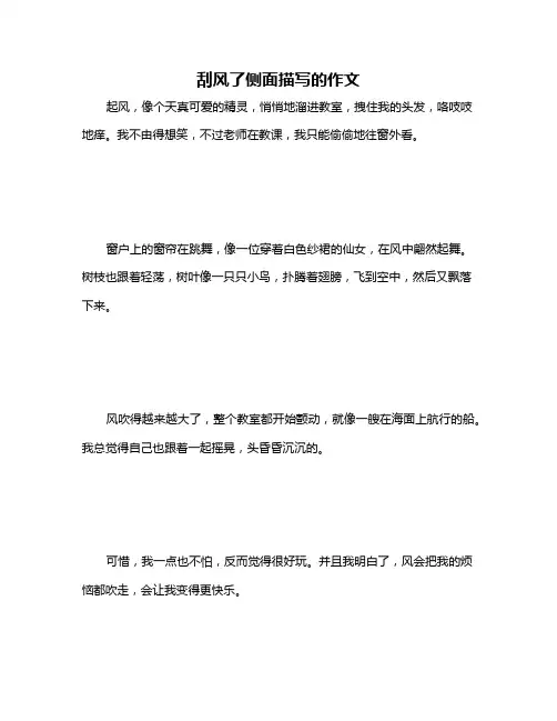 刮风了侧面描写的作文