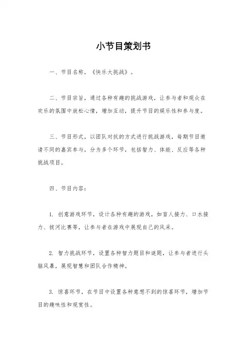 小节目策划书