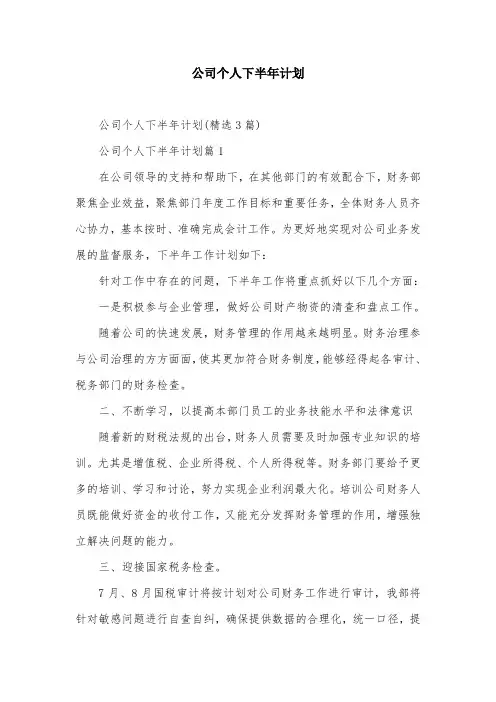 公司个人下半年计划