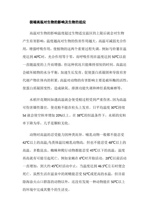 极端高温对生物的影响及生物的适应