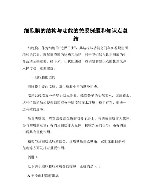 细胞膜的结构与功能的关系例题和知识点总结