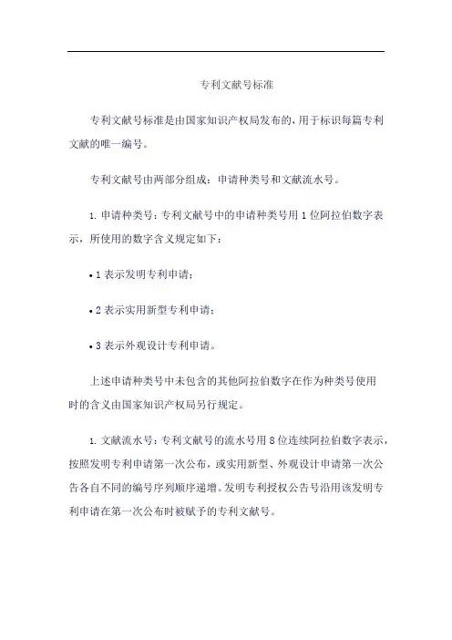 专利文献号标准