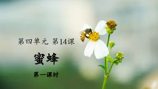 统编人教版三年级语文下册第14课《蜜蜂》优秀课件