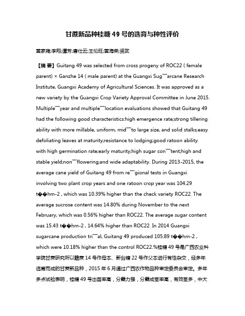 甘蔗新品种桂糖49号的选育与种性评价