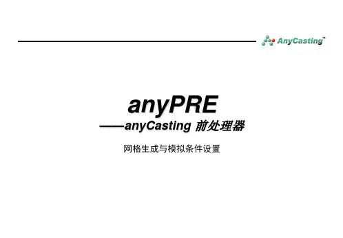 anycasting前处理anyPRE资料讲解