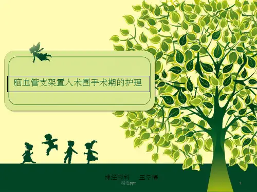 脑血管支架置入术护理ppt课件