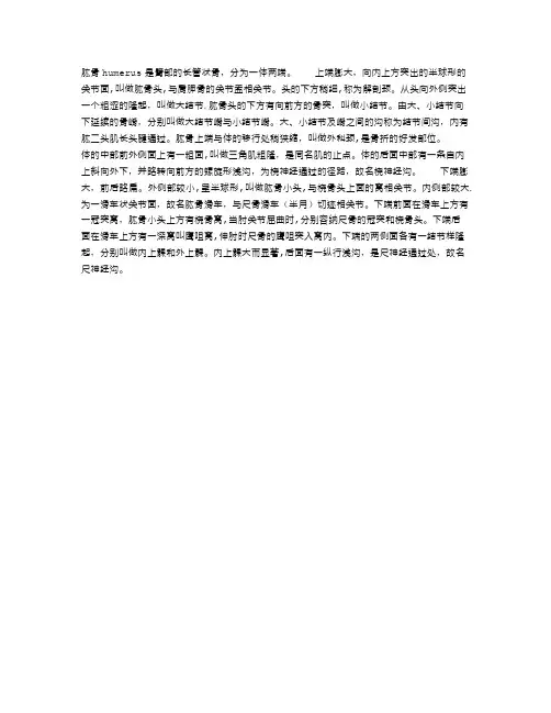 肱骨的结构与解剖简述