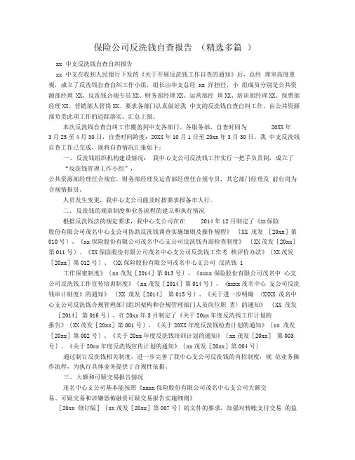 保险公司反洗钱自查报告(精选多篇)