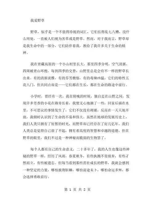 我爱野草作文范文