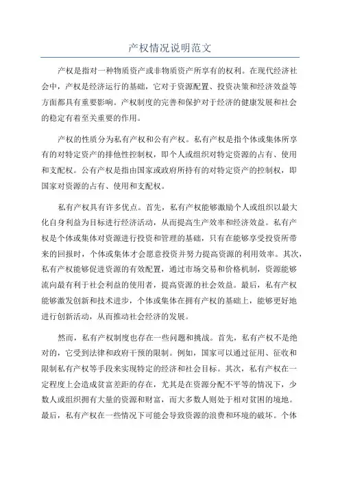 产权情况说明范文
