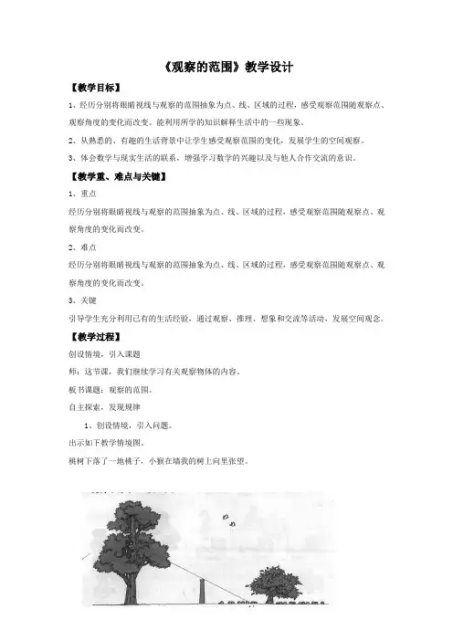 北师大版数学六年级上册《观察的范围》教学设计