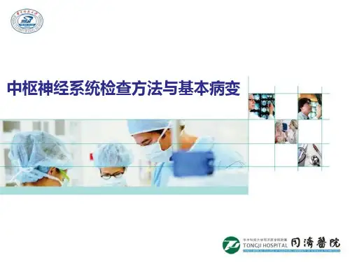 中枢神经系统检查方法与基本病变-精品医学课件
