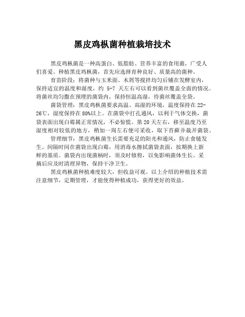 黑皮鸡枞菌种植栽培技术