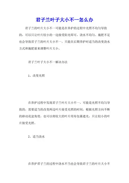 君子兰叶子大小不一怎么办