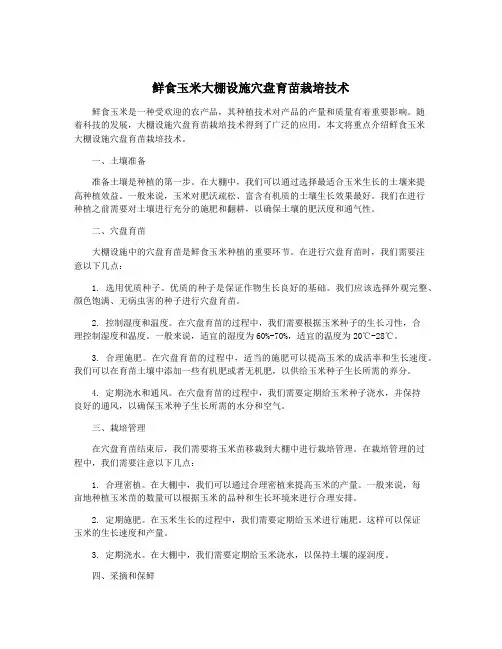 鲜食玉米大棚设施穴盘育苗栽培技术