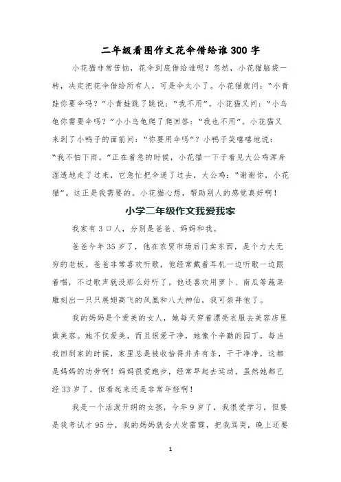 二年级看图作文花伞借给谁300字
