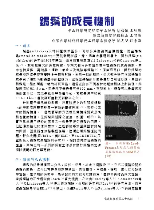 锡须的成长机制