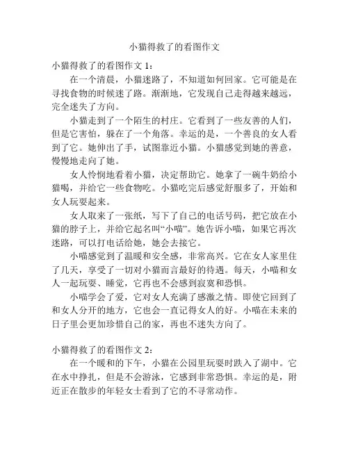 小猫得救了的看图作文