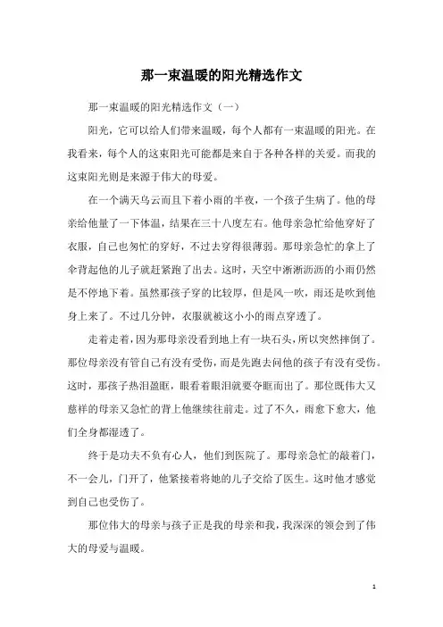 那一束温暖的阳光精选作文