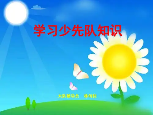 学习少先队知识