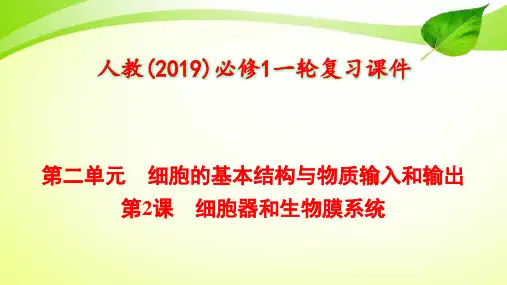 2-2 细胞器和生物膜系统【人教(2019)必修1一轮复习课件】