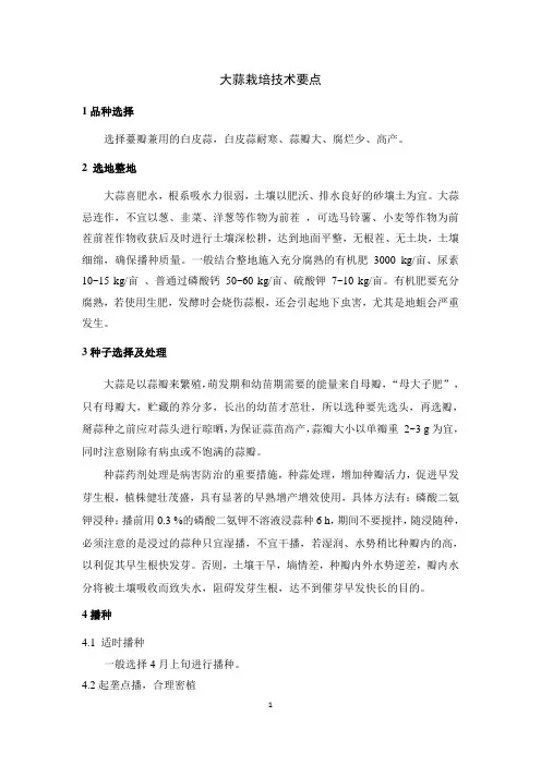 大蒜栽培技术