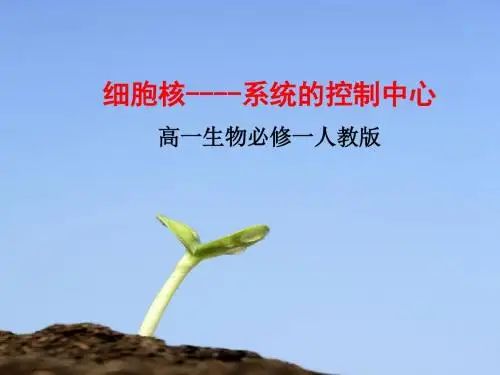 人教版高中生物必修一第3章第3节《细胞核—系统的控制中心》课件