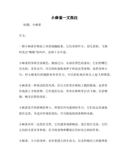 小麻雀一文批注
