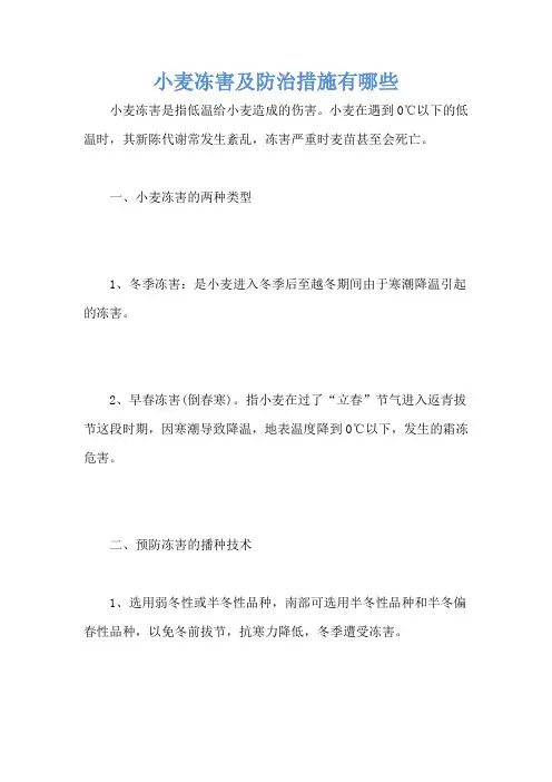 小麦冻害及防治措施有哪些