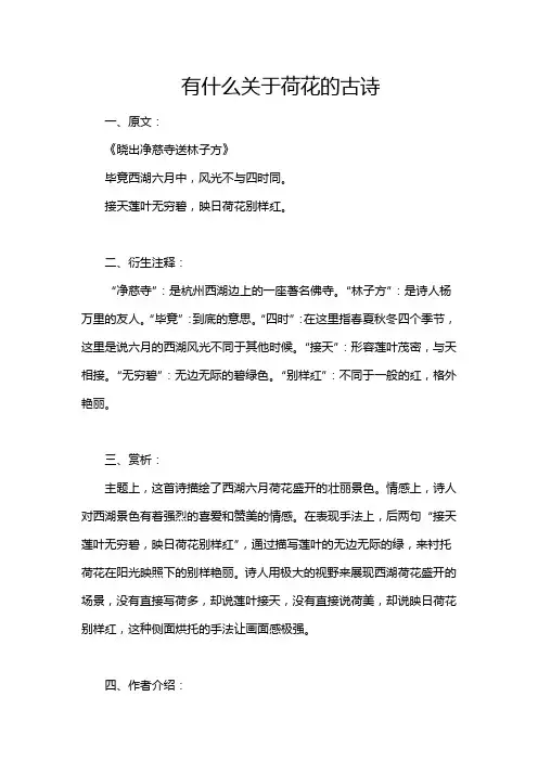 有什么关于荷花的古诗